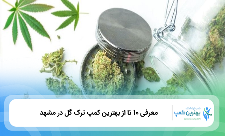 بهترین کمپ ترک گل در مشهد