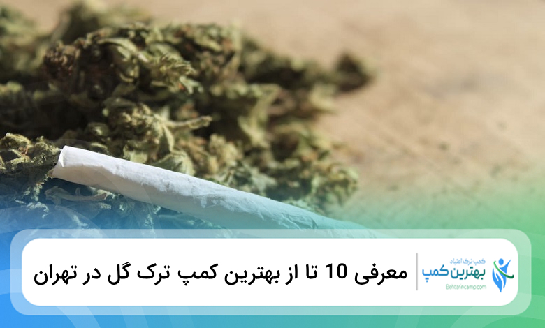 بهترین کمپ ترک گل در تهران