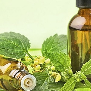 کمپ ترک اعتیاد طلایه داران سبز